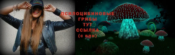 apvp Балабаново
