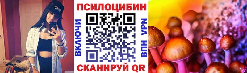 Псилоцибиновые грибы Psilocybine cubensis  mega как зайти  Отрадная 